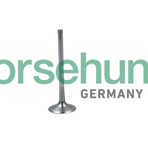 Supapa admisie BORSEHUNG B19026 – VW | AutoRival