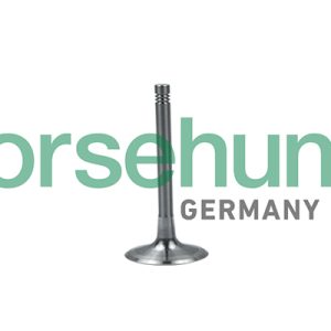 Supapa admisie BORSEHUNG B19028 – VW | AutoRival