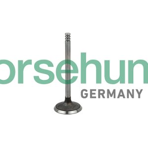 Supapa admisie BORSEHUNG B19029 – VW | AutoRival