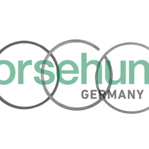 Set segmenti piston BORSEHUNG B19035 – VW | AutoRival