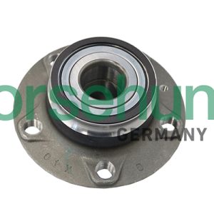 Set rulment roata BORSEHUNG B19119 – VW | AutoRival