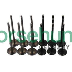 Set supape supapa admisie / evacuare BORSEHUNG B19160 – VW | AutoRival