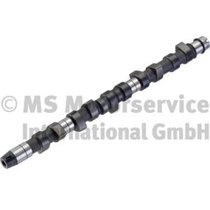 Ax cu came KOLBENSCHMIDT 50006216