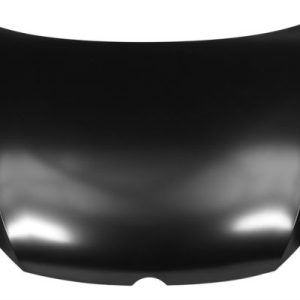 Capota motor BLIC 6803-00-9550280P – VW | AutoRival
