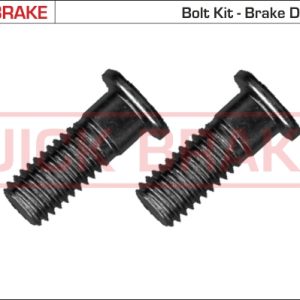 Set surub disc frana QUICK BRAKE 11675K – VW | AutoRival