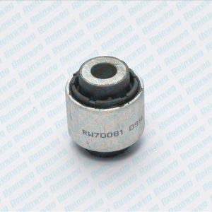 Suport trapez REINWEG RW70081 – VW | AutoRival