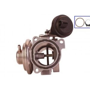 Supapa recirculare gaze de esapament QWP WEG105 – VW | AutoRival