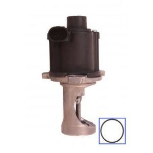 Supapa recirculare gaze de esapament QWP WEG125 – VW | AutoRival