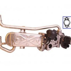 Supapa EGR QWP WEG176 – VW | AutoRival