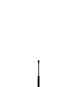 Amortizor luneta QWP WGS219 – VW | AutoRival