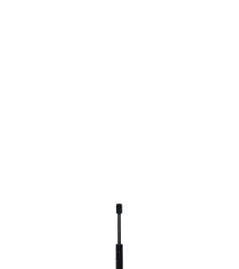 Amortizor portbagaj QWP WGS436 – VW | AutoRival