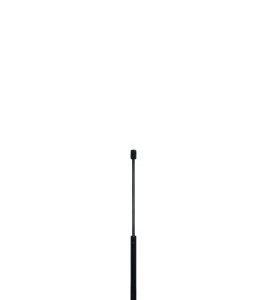 Amortizor capota QWP WGS457 – VW | AutoRival