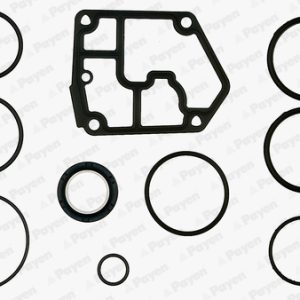 Set garnituri carter PAYEN EF5380 – VW | AutoRival