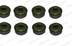 Set garnituri ax supape PAYEN HR655 – VW | AutoRival