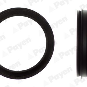 Garnitura Carcasa galerie admisie PAYEN JD6006 – VW | AutoRival