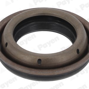 Simering diferential PAYEN NA5508 – VW | AutoRival