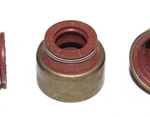 Etansare supape ELRING 395.561
