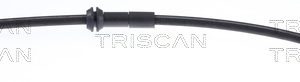 Furtun frana TRISCAN 8150 29131 – VW | AutoRival
