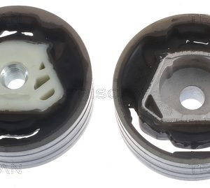 Suport motor TRISCAN 8505 29137 – VW | AutoRival