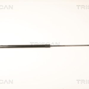 Amortizor capota TRISCAN 8710 29132 – VW | AutoRival