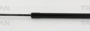 Amortizor portbagaj TRISCAN 8710 292001 – VW | AutoRival
