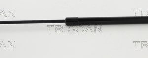 Amortizor portbagaj TRISCAN 8710 292104 – VW | AutoRival