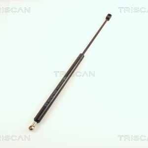 Amortizor portbagaj TRISCAN 8710 29218 – VW | AutoRival