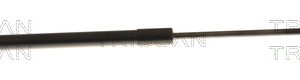 Amortizor portbagaj TRISCAN 8710 29250 – VW | AutoRival