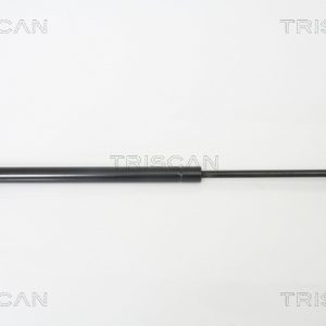 Amortizor portbagaj TRISCAN 8710 29254 – VW | AutoRival