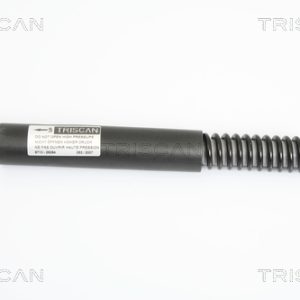 Amortizor portbagaj TRISCAN 8710 29264 – VW | AutoRival