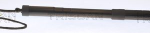 Amortizor portbagaj TRISCAN 8710 29303 – VW | AutoRival