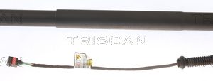 Amortizor portbagaj TRISCAN 8710 29304 – VW | AutoRival