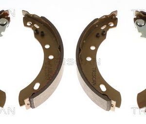 Arc spiral TRISCAN 8750 29487 – VW | AutoRival