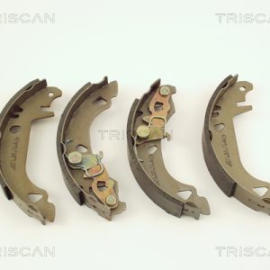 Arc spiral TRISCAN 8750 29532 – VW | AutoRival