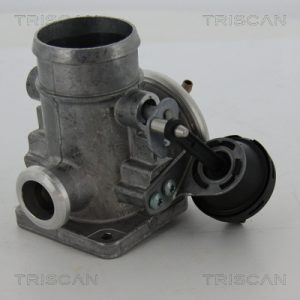 Supapa EGR TRISCAN 8813 29300 – VW | AutoRival