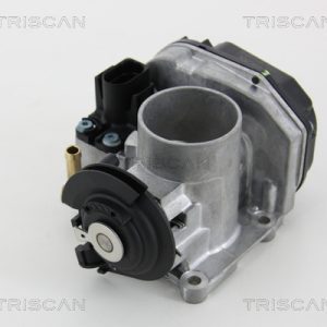Carcasa clapeta TRISCAN 8820 29012 – VW | AutoRival