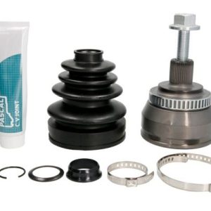 Cap planetara PASCAL G1G036PC – VW | AutoRival