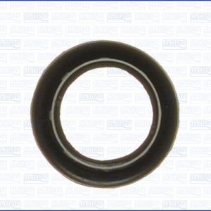 Garnitura Carcasa galerie admisie AJUSA 00522100 – VW | AutoRival