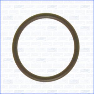 Garnitura conducta lichid de racire AJUSA 16017000 – VW | AutoRival