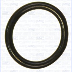 Garnitura termostat AJUSA 16098500 – VW | AutoRival