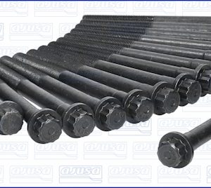 Set surub chiulasa AJUSA 81013600 – VW | AutoRival