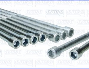 Set surub chiulasa AJUSA 81026300 – VW | AutoRival