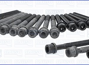Set surub chiulasa AJUSA 81026500 – VW | AutoRival