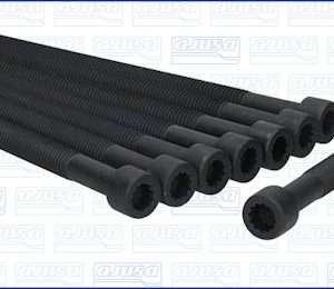 Set surub chiulasa AJUSA 81028800 – VW | AutoRival