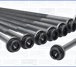 Set surub chiulasa AJUSA 81036100 – VW | AutoRival