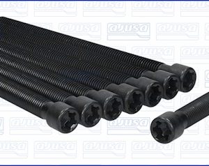 Set surub chiulasa AJUSA 81048700 – VW | AutoRival