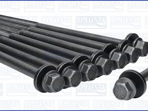 Set surub chiulasa AJUSA 81050400 – VW | AutoRival