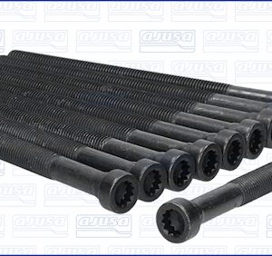 Set surub chiulasa AJUSA 81050700 – VW | AutoRival