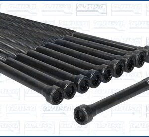 Set surub chiulasa AJUSA 81069000 – VW | AutoRival