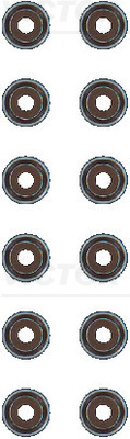 Set garnituri ax supape VICTOR REINZ 12-21170-01